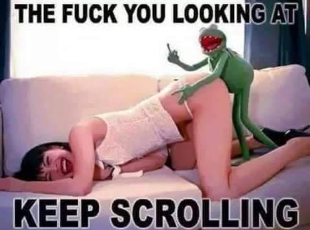 nothing to see here keep scrolling - The Fuck You Looking At Keep Scrolling