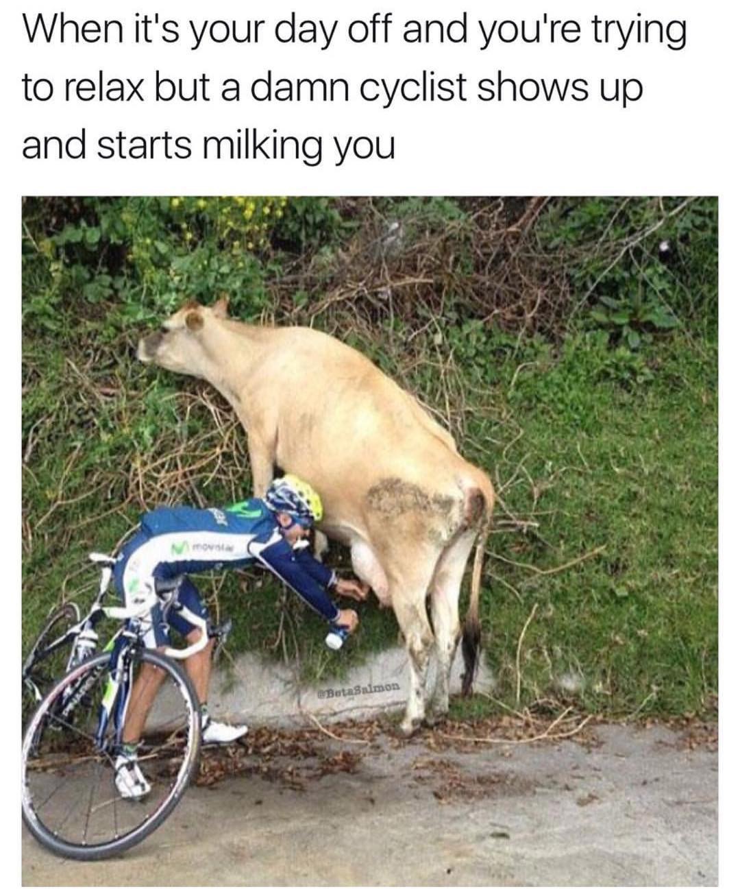 funny cycling - When it's your day off and you're trying to relax but a damn cyclist shows up and starts milking you BetaSnimon