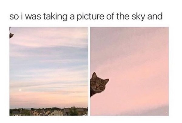 30 Great Pics And Memes to Improve Your Mood