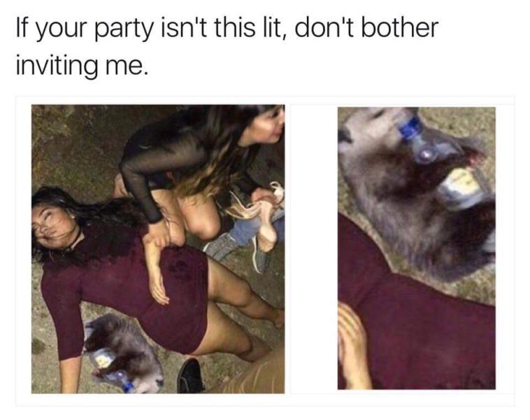 girl passed out next to opossum - If your party isn't this lit, don't bother inviting me.
