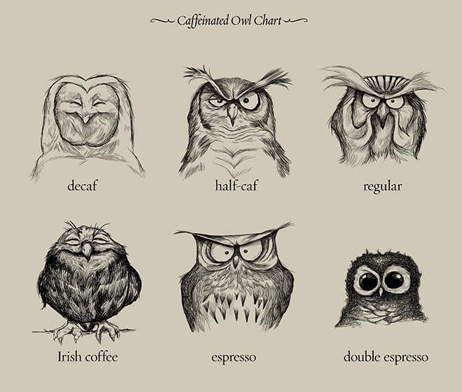 caffeinated owl chart high resolution - Caffeinated Owl Charts decaf halfcaf regular Irish coffee espresso double espresso