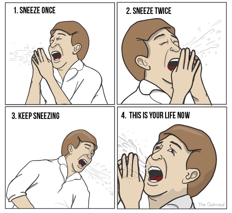 Meme about sneezing and how sneezing is now your new life.