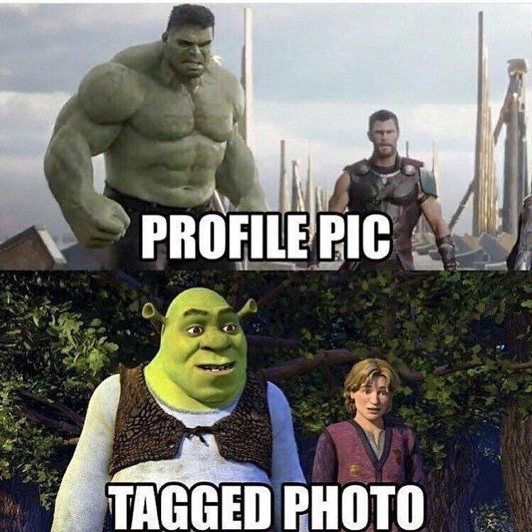 Funny meme of profile pic of a ripped and muscular Thor and Hulk, with tagged photo of Shrek and the boy.