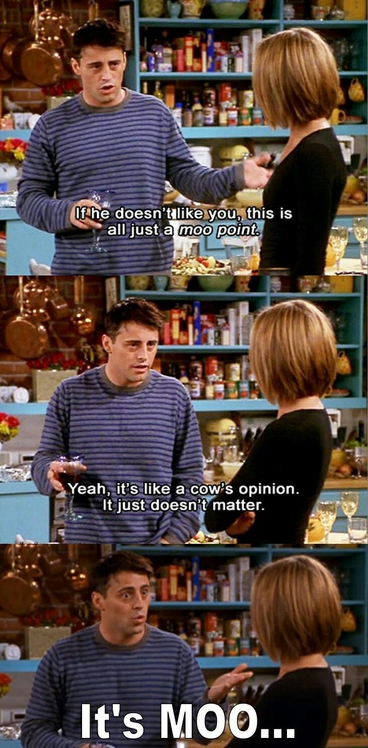 Friends episode in which Joey explains a mute point as a moo point