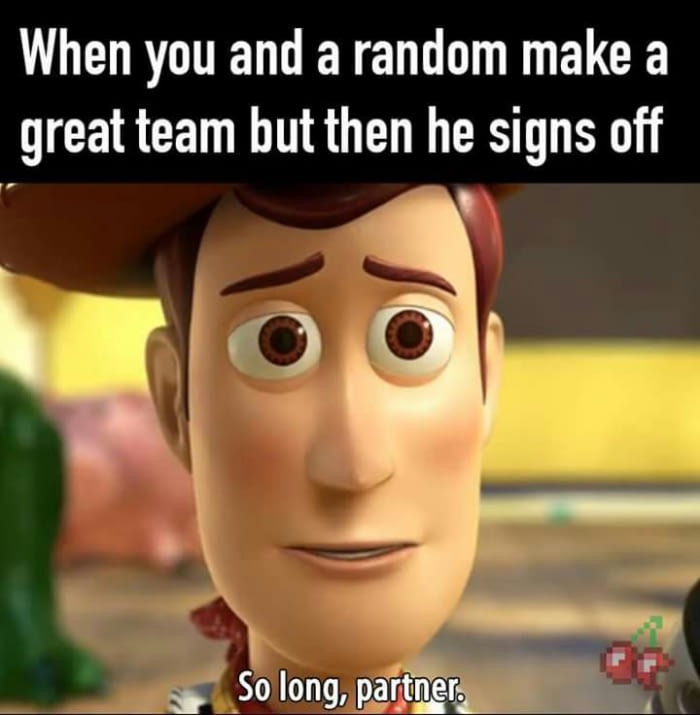 funny meme about when you and a random make a great team and then he signs off, with Woody from Toy Story saying So Long Partner.