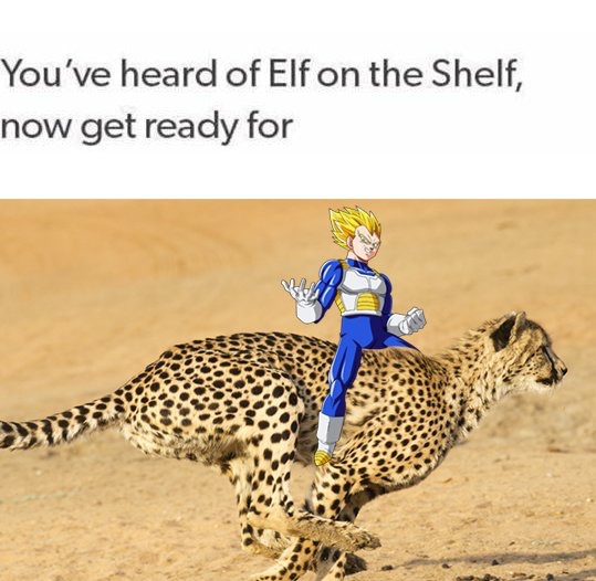elf on the shelf cheetah variation