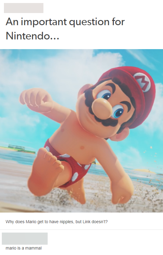 Funny meme for Nintendo about why does Mario have nipples but Link doesn't?