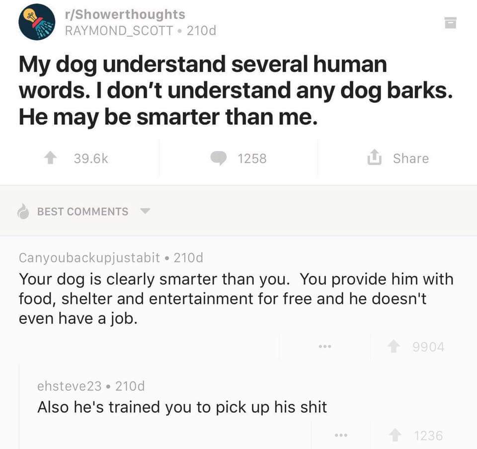 Meme about how dogs understand a few words, but humans understand zero barks.