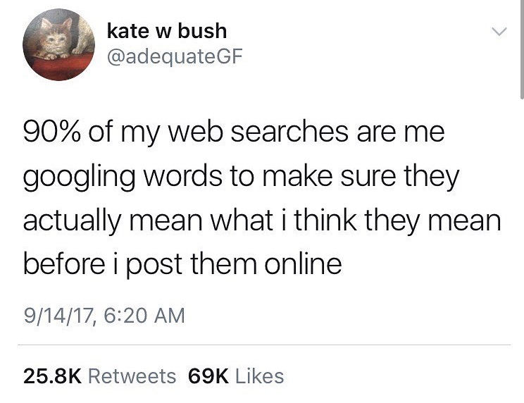 meme about web searches to make sure you are using the word correctly.