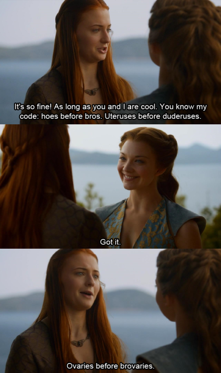 Game of Thrones meme about hoes before bros