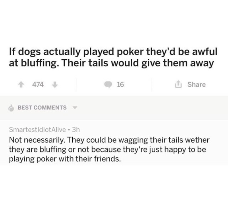 document - If dogs actually played poker they'd be awful at bluffing. Their tails would give them away 474 16 U Best SmartestldiotAlive 3h Not necessarily. They could be wagging their tails wether they are bluffing or not because they're just happy to be 