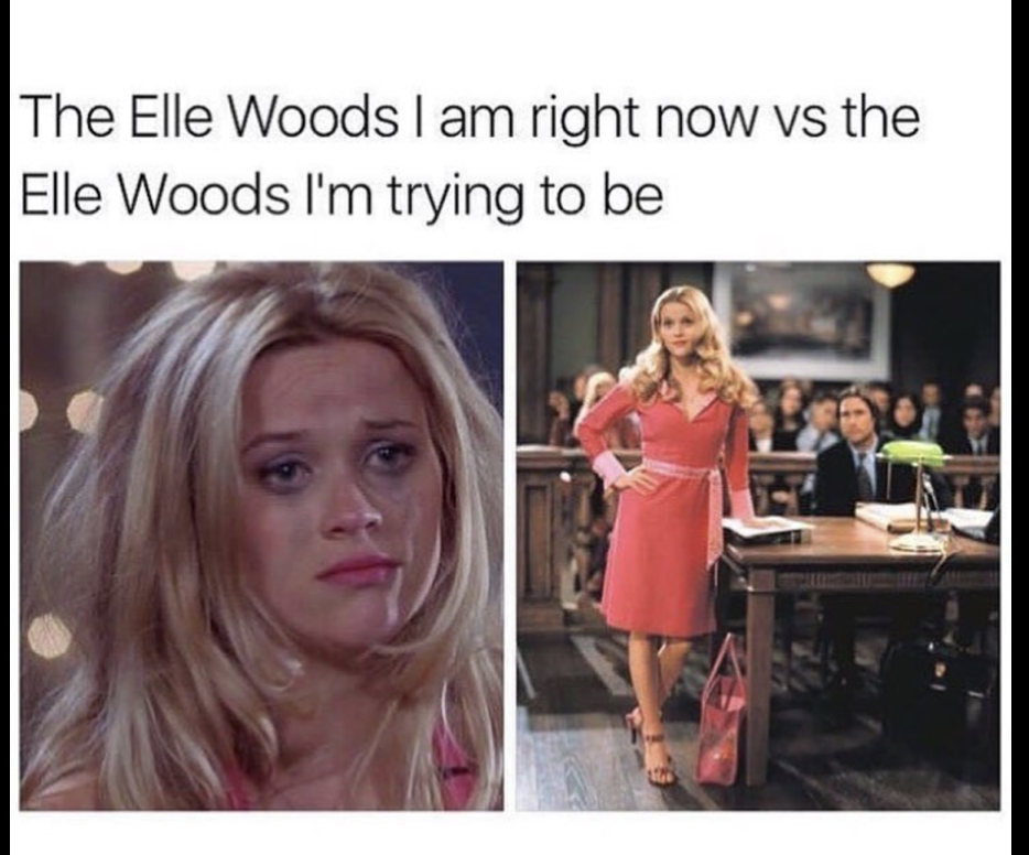 elle woods i want - The Elle Woods I am right now vs the Elle Woods I'm trying to be