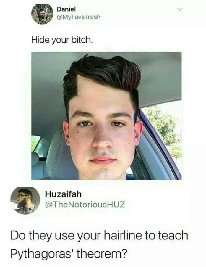 Roast meme of funny picture of man with strange haircut hairline and a caption menacing to Hide Your Bitch to which someone asks if they use his hairline to teach pythagoras theorem
