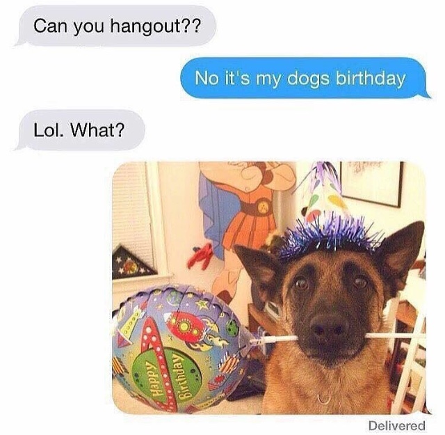 Funny Pic of a DM of someone who can't meet up because they are throwing their dog a birthday party