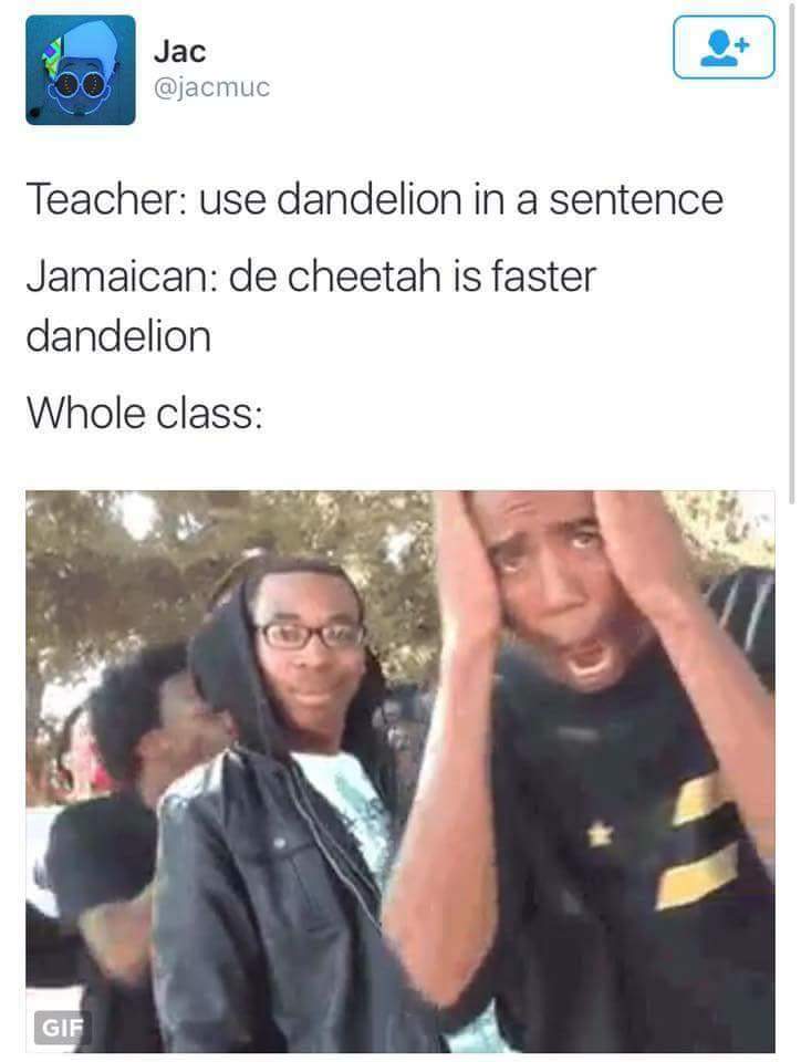 Funny meme of using dandelion in a sentence