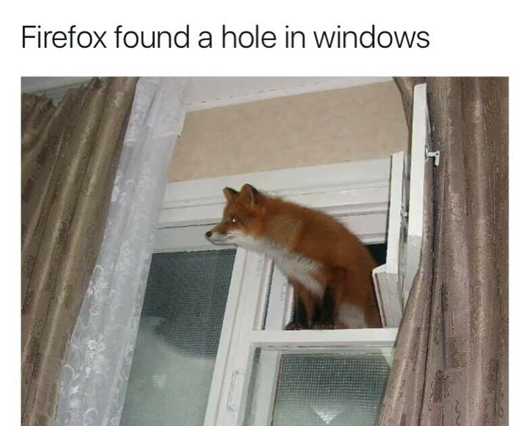 funny picture of a dog that looks like the firefox logo escaping through an open window