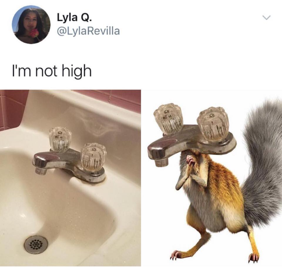 im not high meme - Lyla Q. Lyla Q. I'm not high
