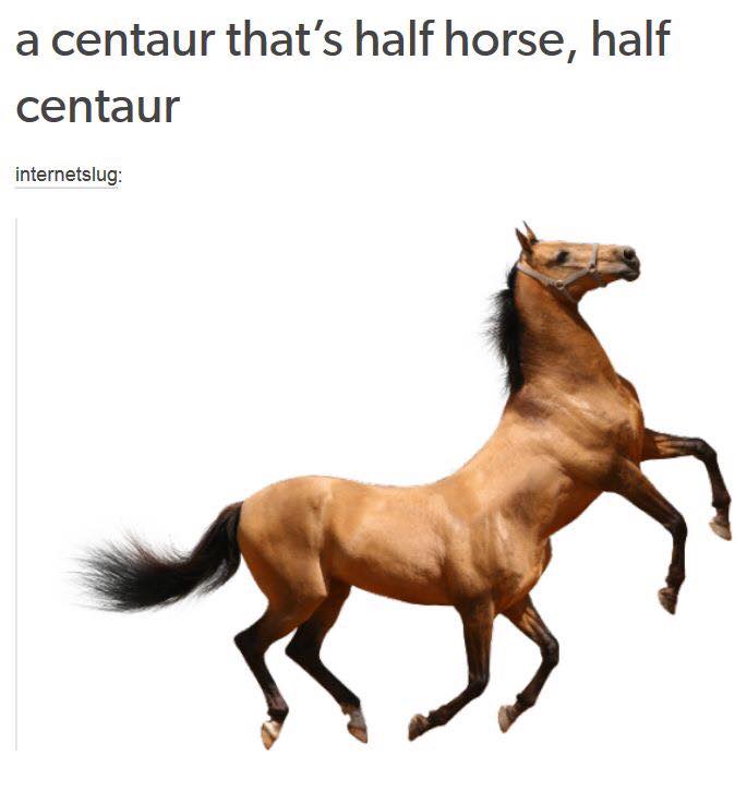 half horse half centaur - a centaur that's half horse, half centaur internetslug
