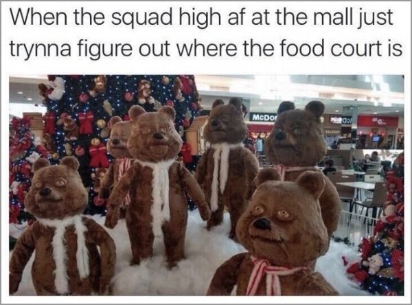 When the squad high af at the mall just trynna figure out where the food court is McDor