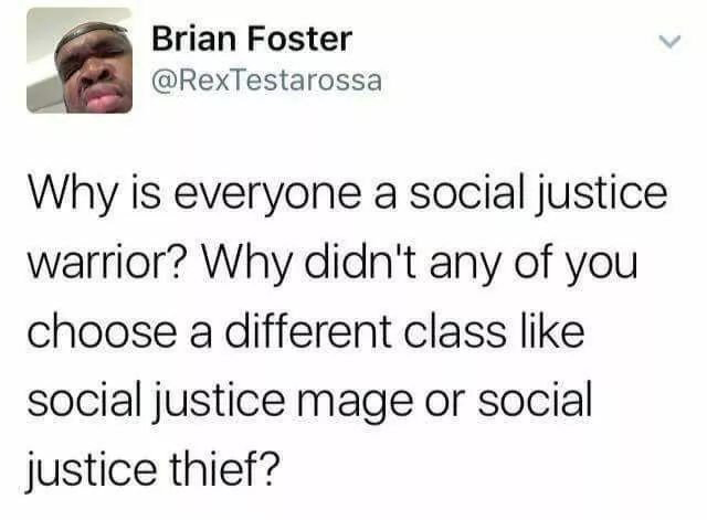 Brian Foster Why is everyone a social justice warrior? Why didn't any of you choose a different class social justice mage or social justice thief?