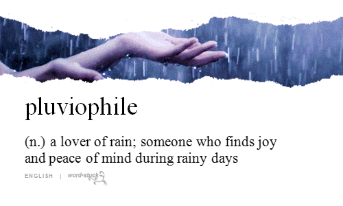 pluviophile gif - pluviophile n. a lover of rain; someone who finds joy and peace of mind during rainy days English | Wordisturize