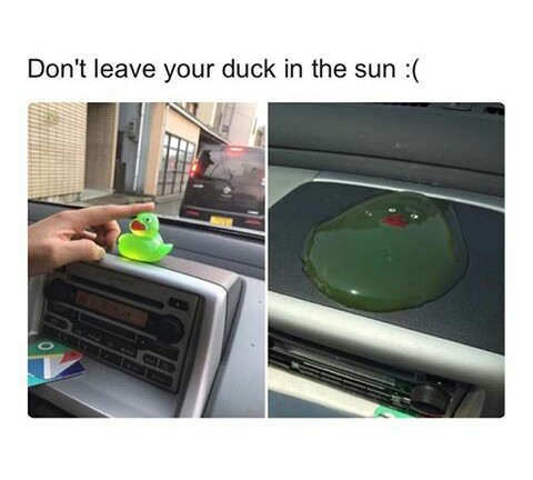 Funny meme of a toy duck that melted in the sun