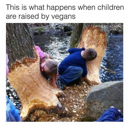 Kids posting by barkless part of a tree as if they are vegans eating it.