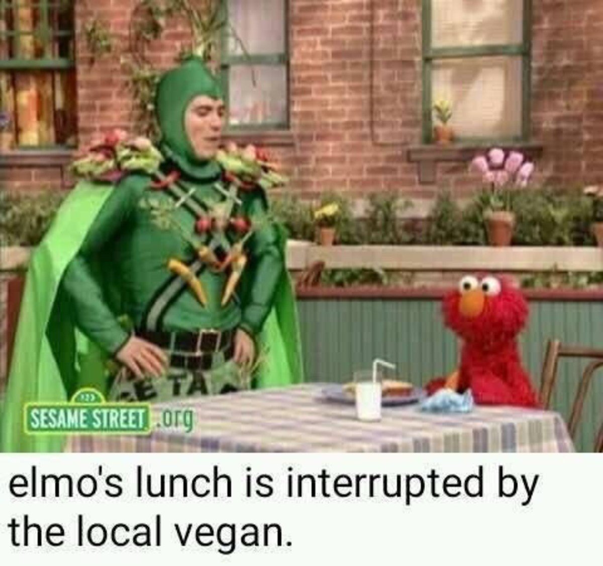 Elmo meme of meeting local vegan