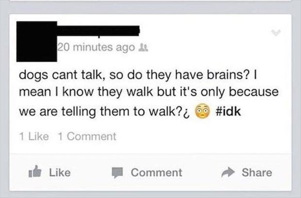 Someone that doesn't understand brains