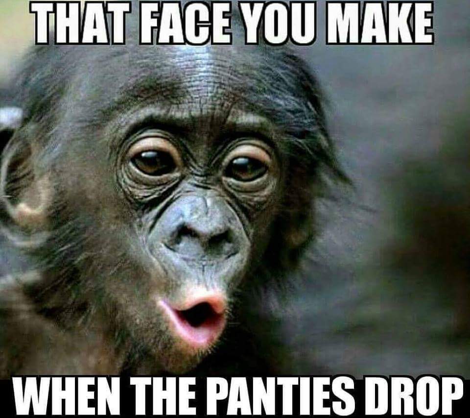 monkey making ooh-wow face with caption that is when the panties drop.