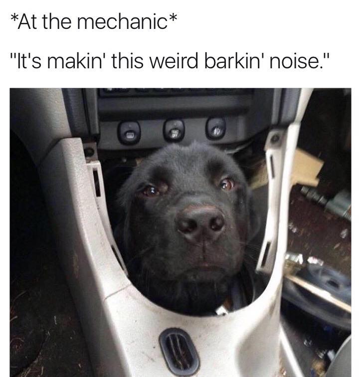transmission is a little ruff - At the mechanic "It's makin' this weird barkin' noise."