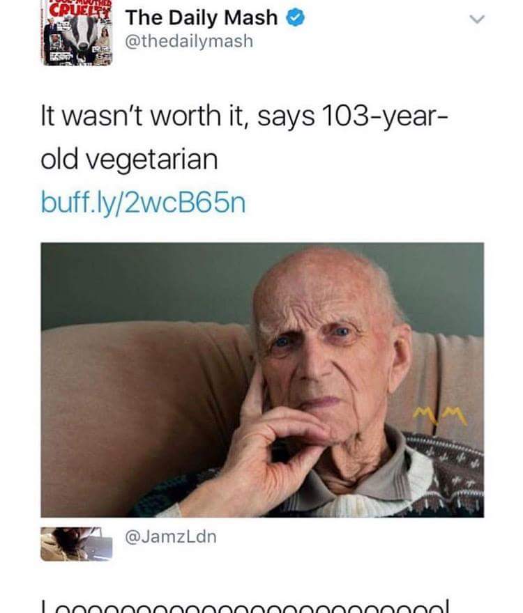 vegetarian wasn t worth - Del The Daily Mash It wasn't worth it, says 103year old vegetarian buff.ly2wcB65n