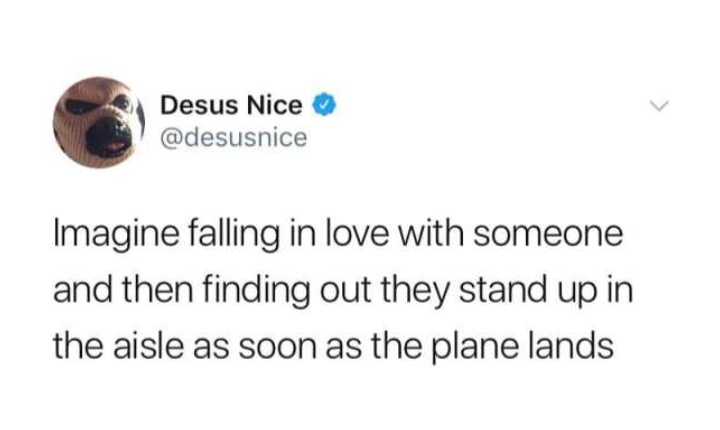 diagram - Desus Nice Imagine falling in love with someone and then finding out they stand up in the aisle as soon as the plane lands