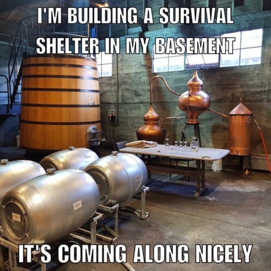 survival shelter meme - I'M Building A Survival Shelter In My Basement It'S Coming Along Nicely
