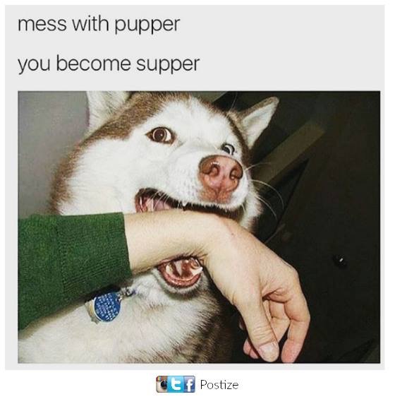 you mess with pupper - mess with pupper you become supper Ce f Postize