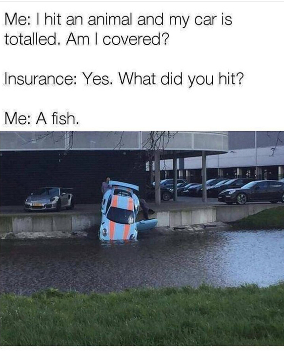 porsche falls in water - Me I hit an animal and my car is totalled. Am I covered? Insurance Yes. What did you hit? Me A fish.