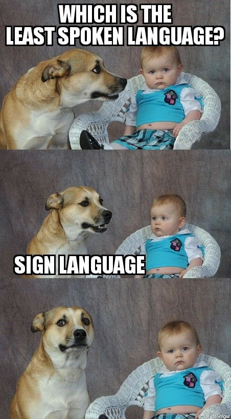 Dog and kid meme about sign language being the least spoken language