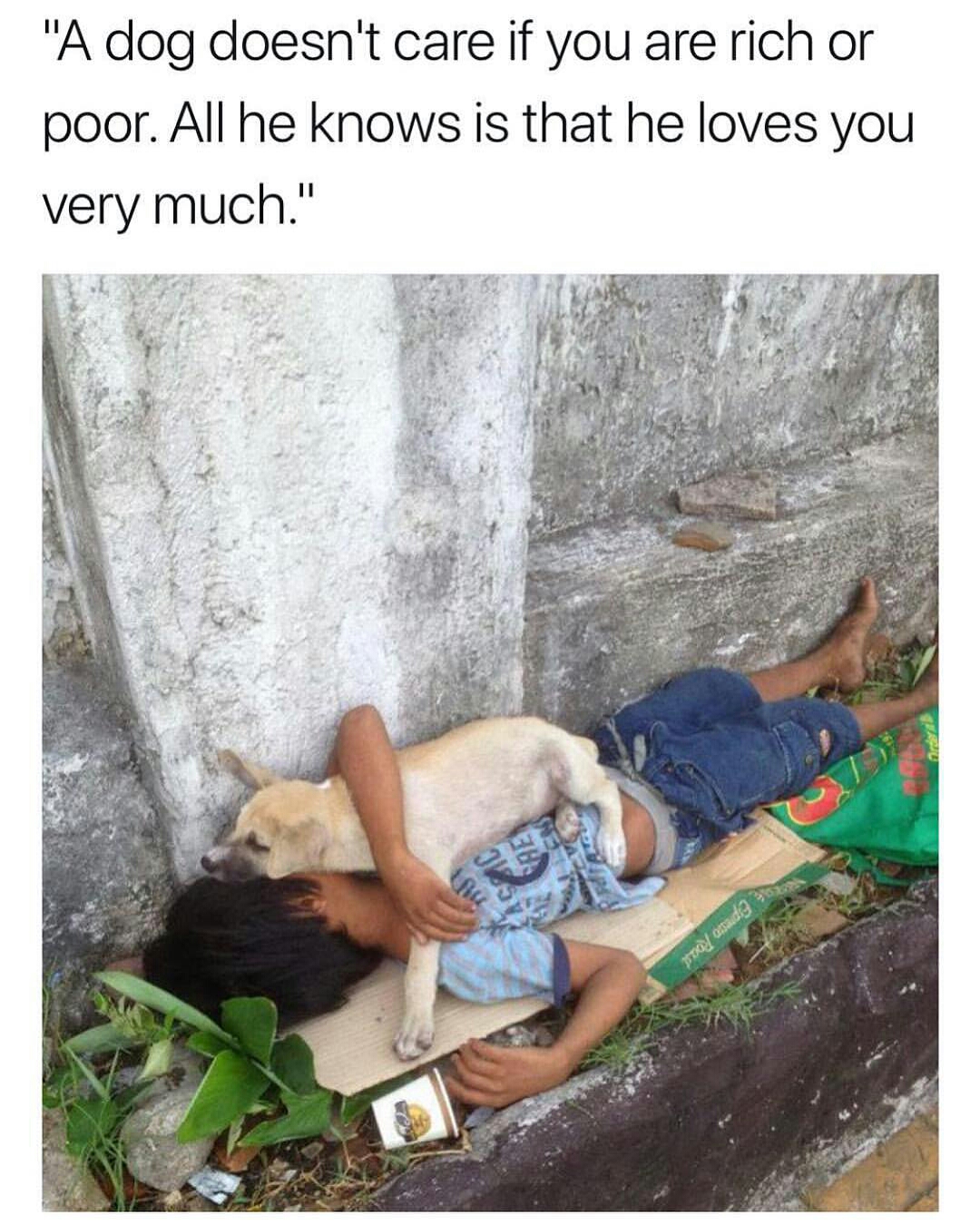 Dog that loves his owner no matter what