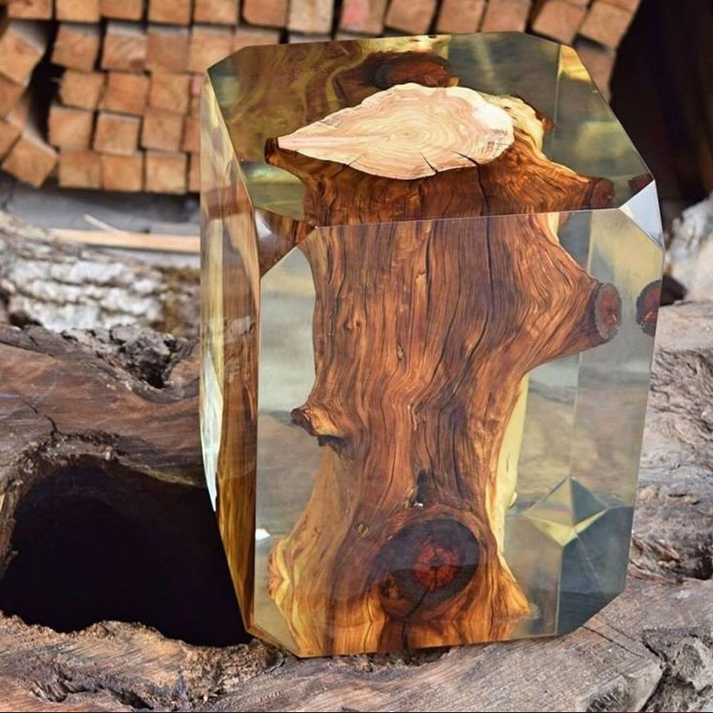 Wood in a block of crystal