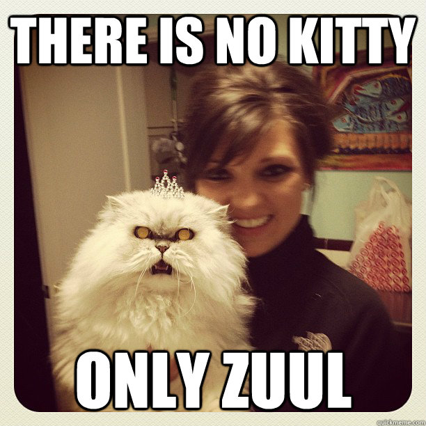 There is not kitty, only Zuul meme with appropriate picture to match