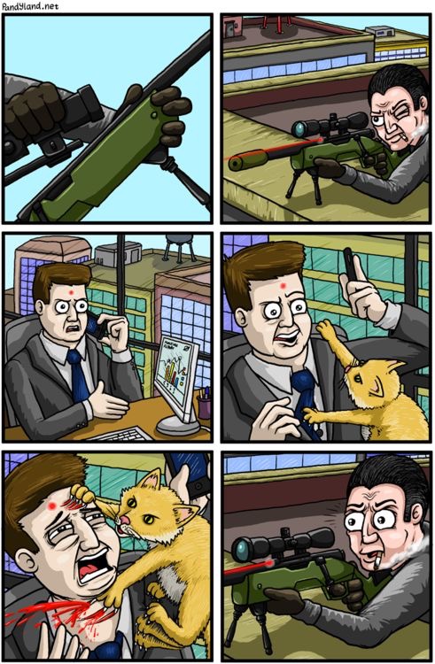 sniper cat comic - Pandyland.net Ls
