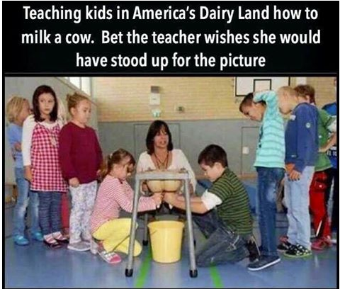 milk teacher - Teaching kids in America's Dairy Land how to milk a cow. Bet the teacher wishes she would have stood up for the picture