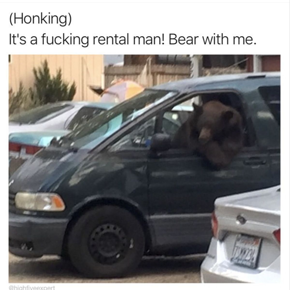 Car - Honking It's a fucking rental man! Bear with me. hvert
