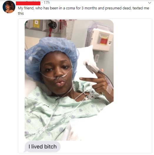 lived bitch meme - . 17h My friend, who has been in a coma for 3 months and presumed dead, texted me this I lived bitch