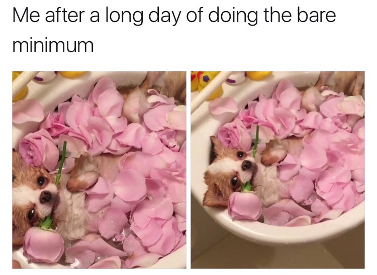 48 Great Pics And Memes to Improve Your Mood