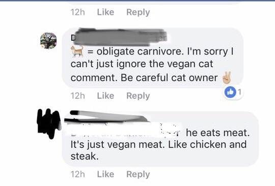 multimedia - 12h obligate carnivore. I'm sorry | can't just ignore the vegan cat comment. Be careful cat owner 12h she eats meat It's just vegan meat. chicken and steak. 12h