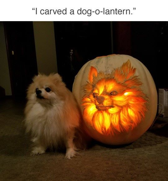dog o lantern - I carved a dogolantern."