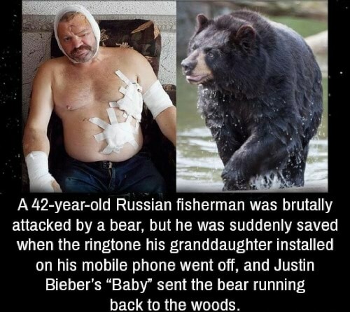 russian bear meme - A 42yearold Russian fisherman was brutally attacked by a bear, but he was suddenly saved when the ringtone his granddaughter installed on his mobile phone went off, and Justin Bieber's Baby sent the bear running back to the woods.