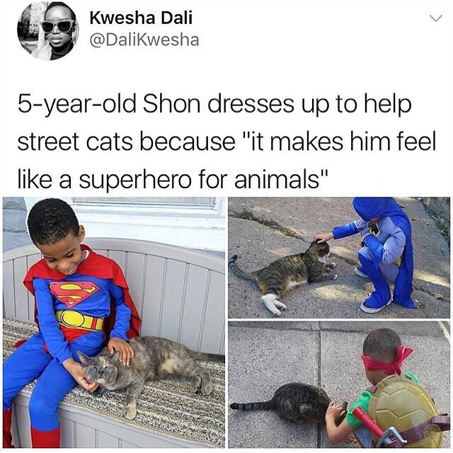 Humour - Kwesha Dali 5yearold Shon dresses up to help street cats because "it makes him feel a superhero for animals"
