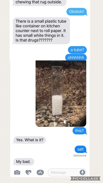 chewing that rug outside. Okidoki! There is a small plastic tube container on kitchen counter next to roll paper. It has small white things in it. Is that drugs??????? a tube? ohhhhhh this? Yes. What is it? salt Delivered My bad. A iMessage Pic.Collage